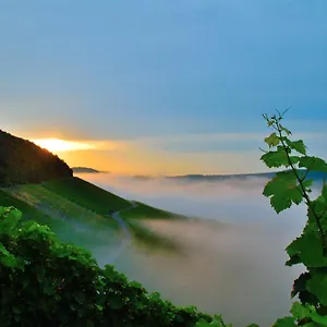 Winzerhof Düring Iphofen